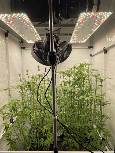 Growreport Bild 4
