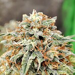 IMG_20240307_232000