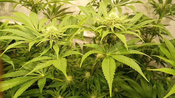 Growreport Bild 23