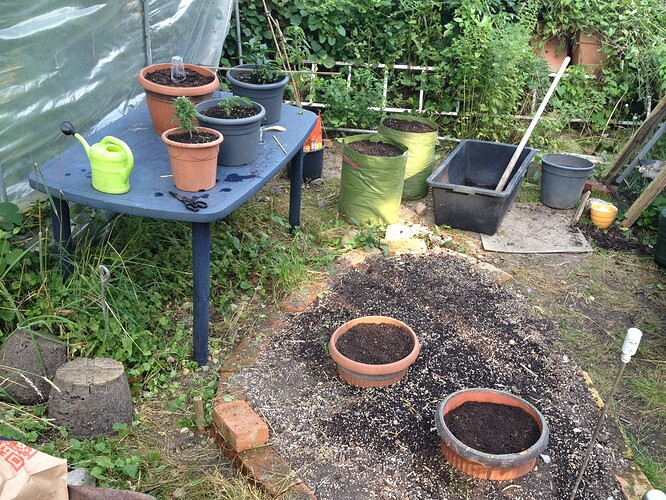 Growreport Bild 27