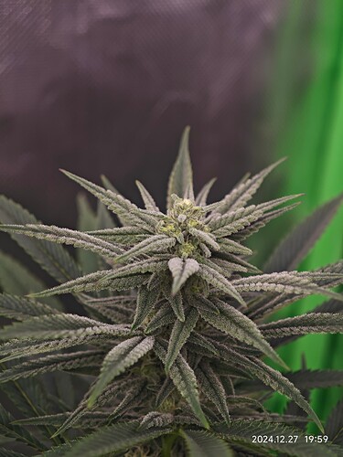 Growreport Bild 10