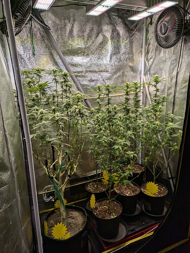 Growreport Bild 2