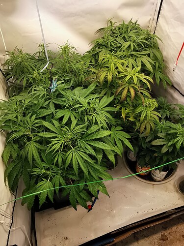 Growreport Bild 6
