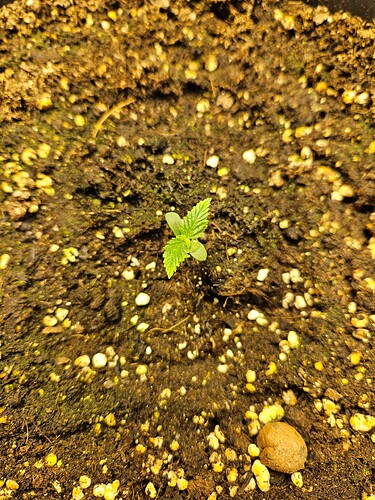 Growreport Bild 17