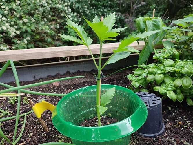 Growreport Bild 2