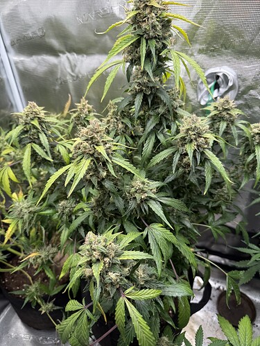 Growreport Bild 16