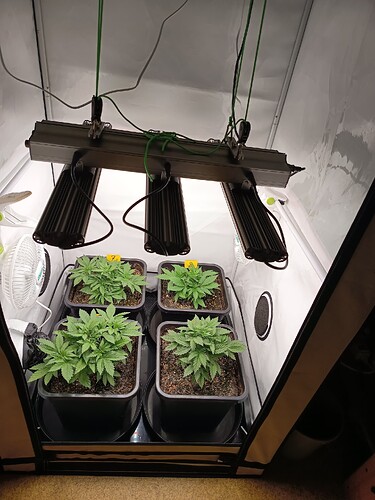 Growreport Bild 18