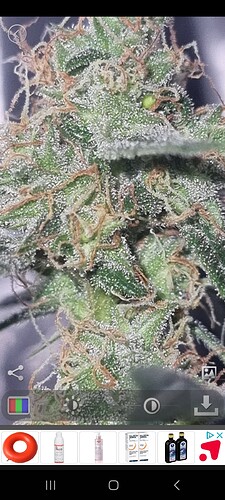 Screenshot_20241207_160712_Magnifier & Microscope