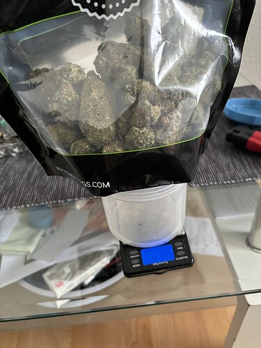 Growreport Bild 43