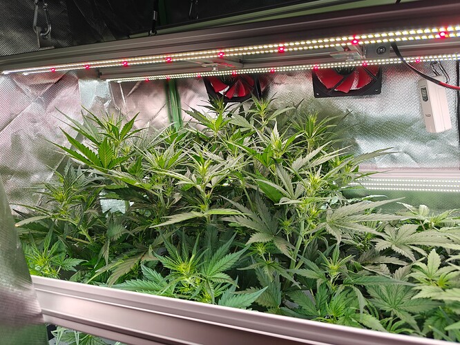 Growreport Bild 9
