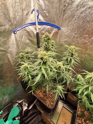 Growreport Bild 2