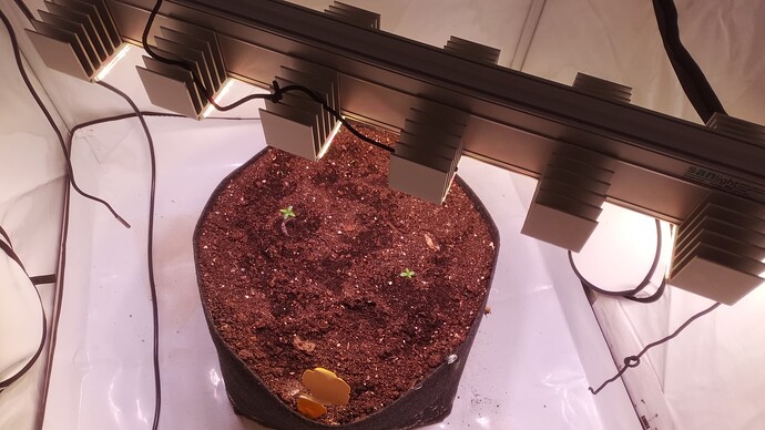 IMG_20250402_131811_411