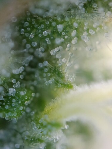 Growreport Bild 24