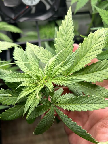 Growreport Bild 9