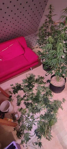 Growreport Bild 38