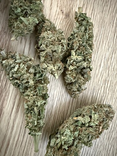 Growreport Bild 25