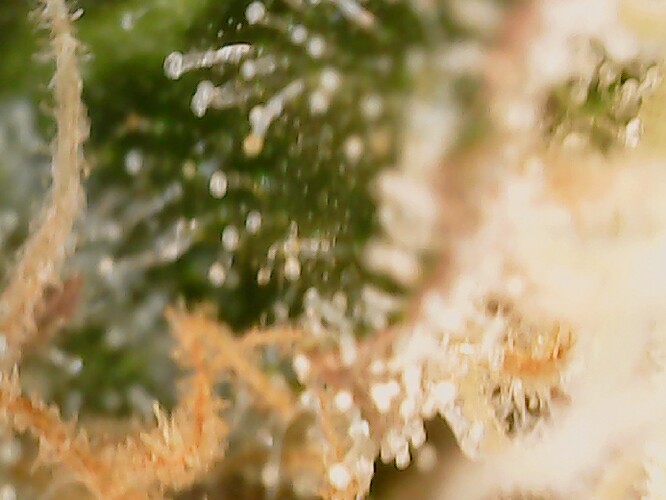 Growreport Bild 10