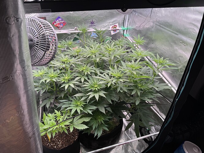 Growreport Bild 12