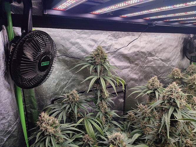 Growreport Bild 7