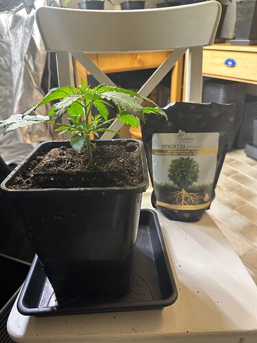Growreport Bild 11