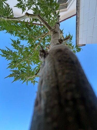 Growreport Bild 7