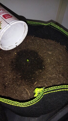 Growreport Bild 4