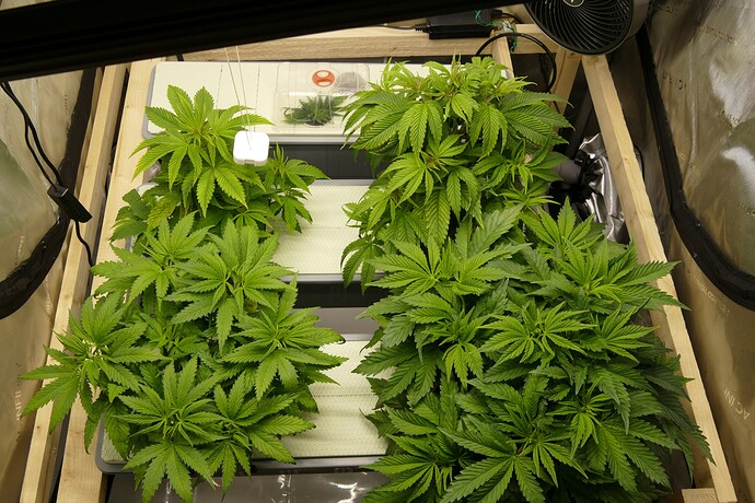 Übersicht_oben_VT31