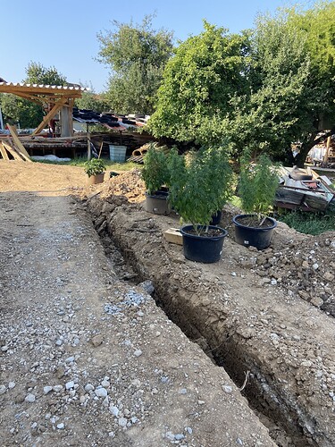 Growreport Bild 2