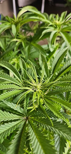 Growreport Bild 9