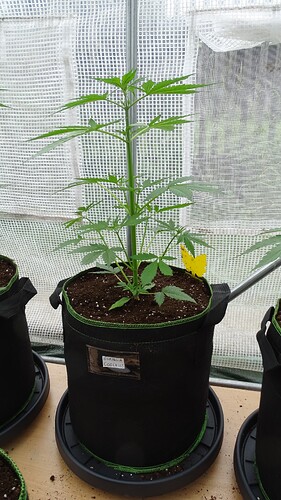 Growreport Bild 2
