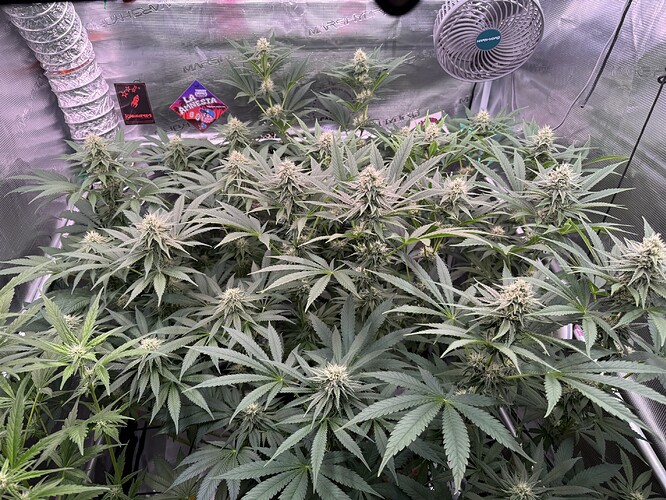 Growreport Bild 7