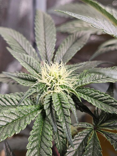 Growreport Bild 5