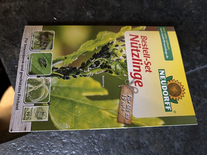 Growreport Bild 13