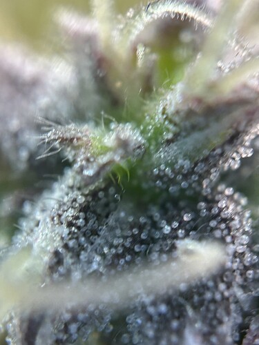 Growreport Bild 10