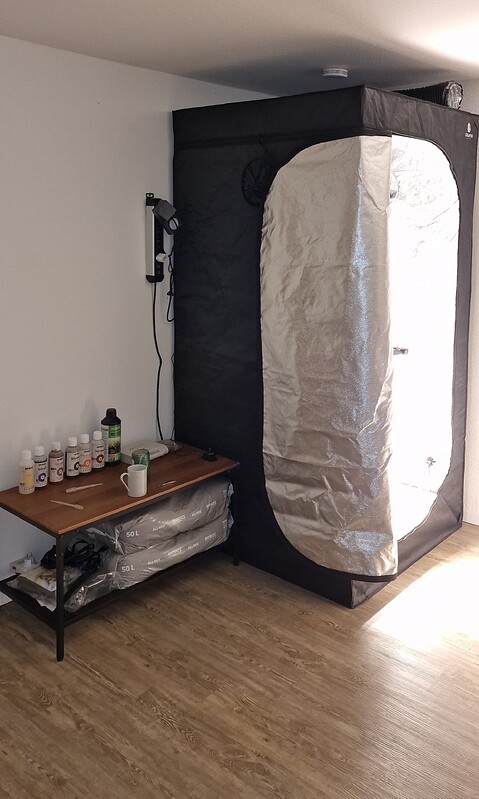 Erster anständiger Grow🌿