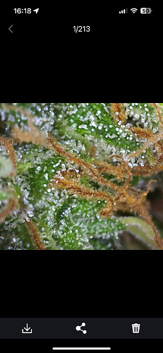 Growreport Bild 28