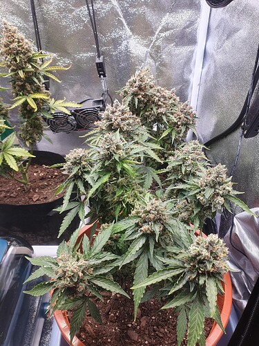 Growreport Bild 23