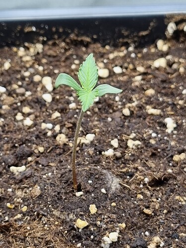 Growreport Bild 18