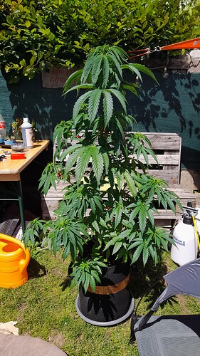 Growreport Bild 22