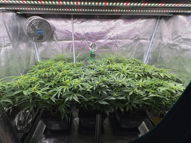 Foto 31.12.25, 06 31 29