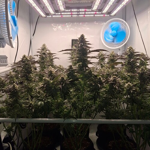 476410782_122168809778293599_7948516665299197050_n