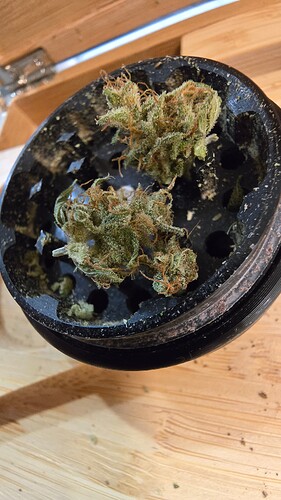 Growreport Bild 1