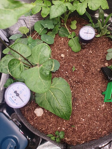 Tag 4 -2025-08-26-225908_003