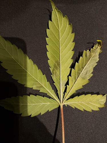 Growreport Bild 7