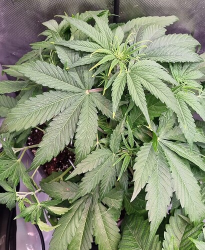 WhatsApp Image 2025-12-16 at 12.53.59 (2)