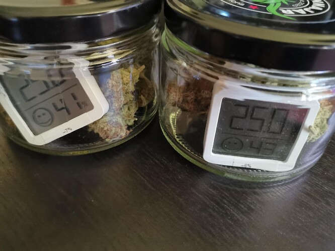 1. Grow | TB Lemon Haze Auto | 104 Tage | begonnen in DANF-Box, gewechselt zu Zelt mit Trolmaster