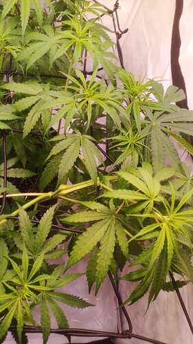 Growreport Bild 10