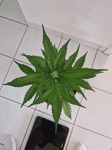 WhatsApp Image 2024-05-18 at 08.54.45 (2)