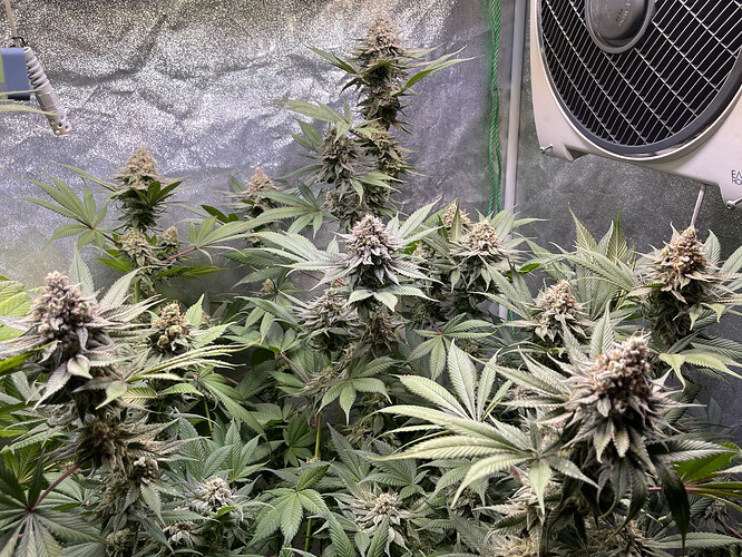 Growreport Bild 10