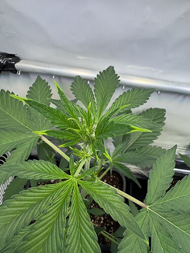 Growreport Bild 18